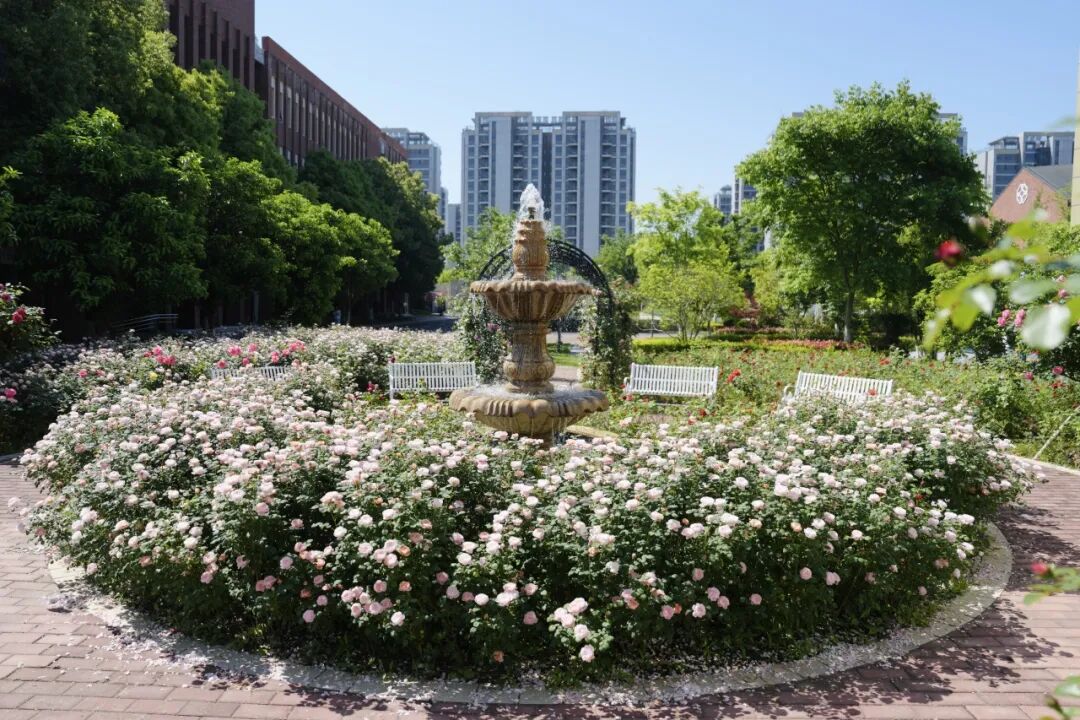 择校迷茫怎么选?快来5月16日NKCS开放日,解锁孩子的专属成长赛道